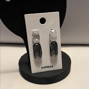 Express Black and White Gemstone Pierced Earrings